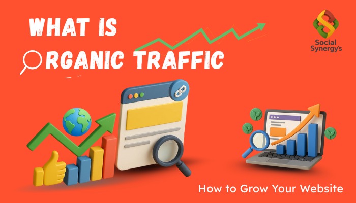 What Is Organic Traffic